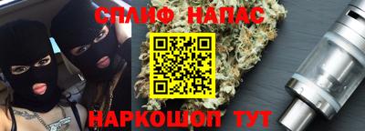 сатива Камышлов