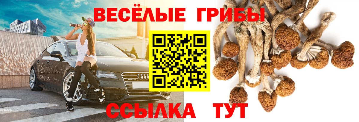 Псилоцибиновые грибы MAGIC MUSHROOMS Краснодар